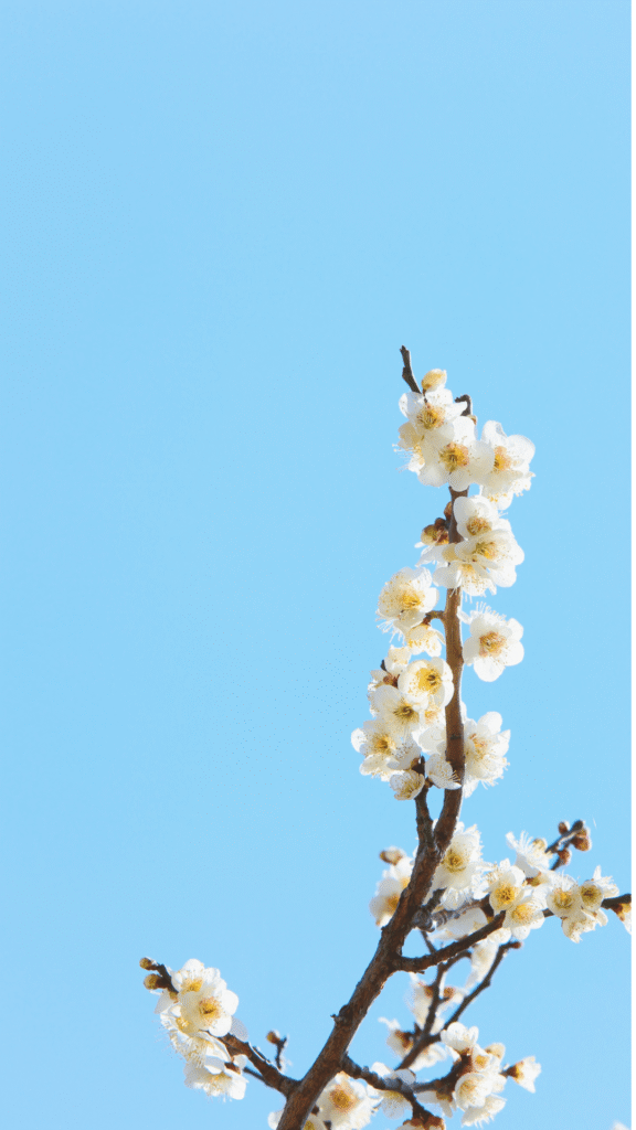 20 Inspiring Spring Phone Wallpapers