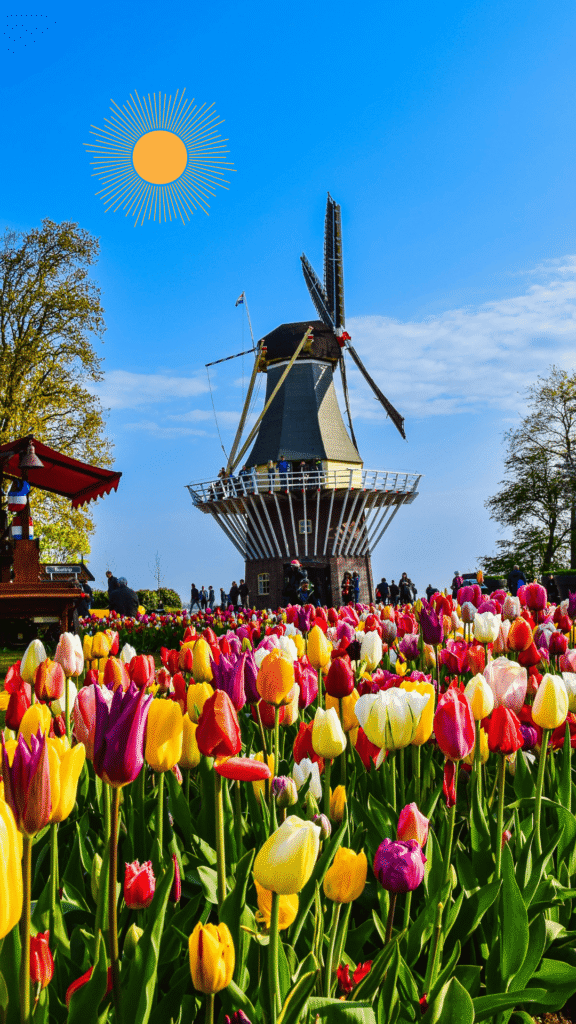 20 Inspiring Spring Phone Wallpapers