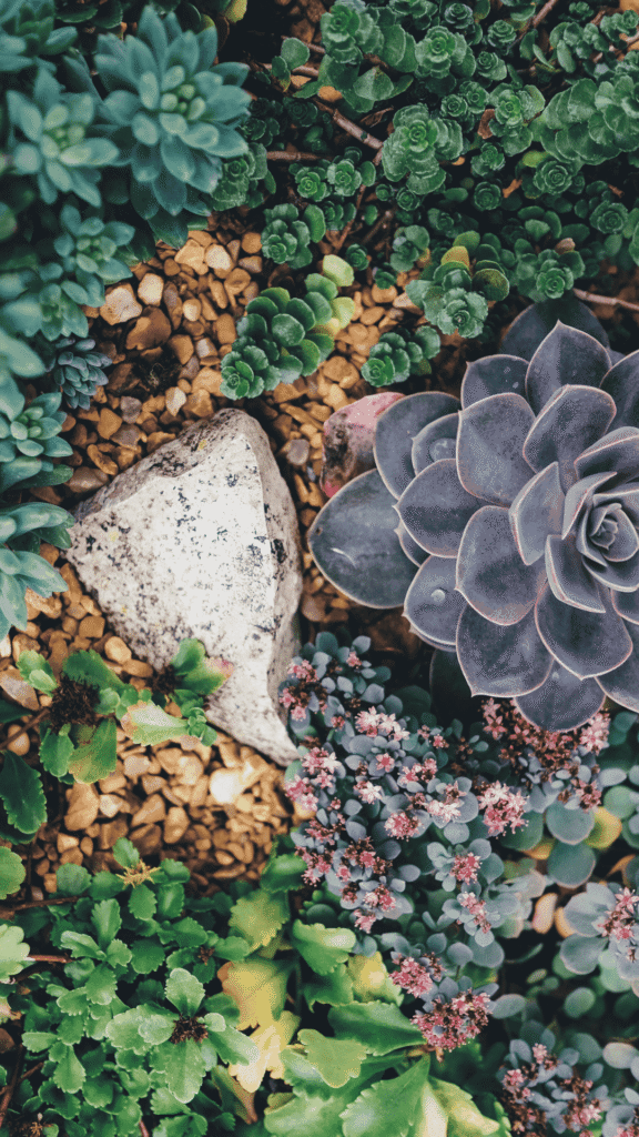 20 Inspiring Spring Phone Wallpapers