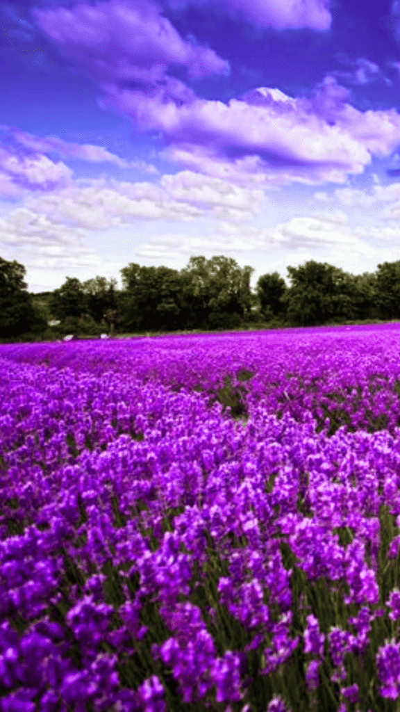 20 Inspiring Spring Phone Wallpapers