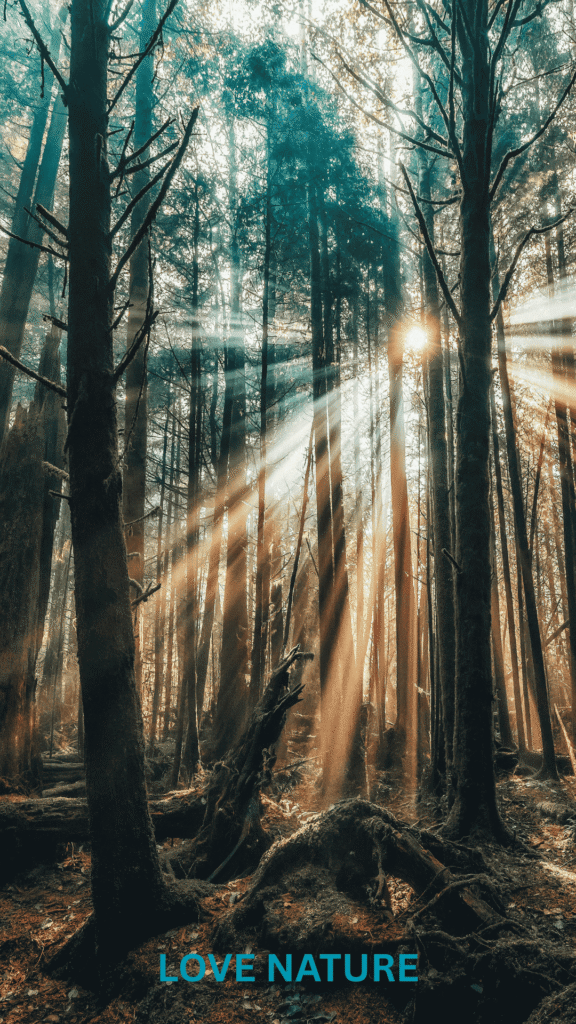 20 Inspiring Spring Phone Wallpapers