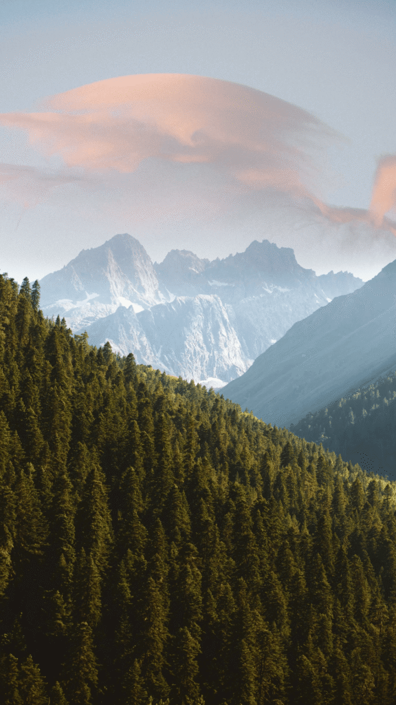 20 Inspiring Summer Phone Wallpaper