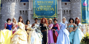 Read more about the article Princess Disneyland Christmas Outfit Ideas: The Ultimate Style Guide